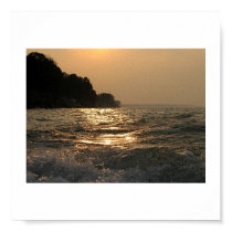 Evening Light posters