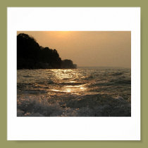 Evening Light posters