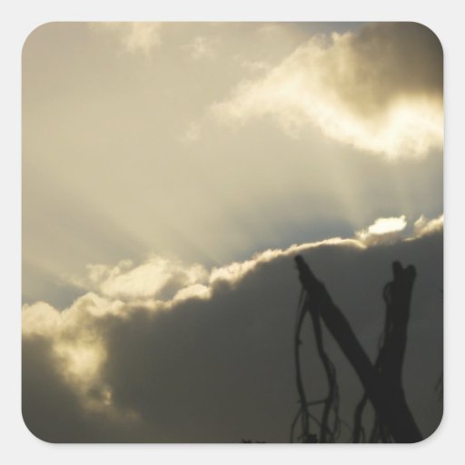 Evening Light Square Stickers