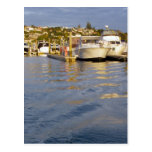 Evening Marina Post Card