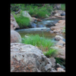 Evening on the Williams River posters