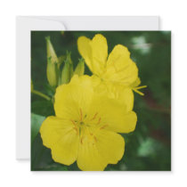 Evening Primrose Invitations