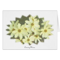 Evening Shines cards