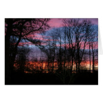 Evening Sky In Denmark cards
