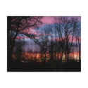 Evening Sky In Denmark Postcard