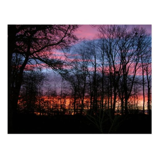 Evening Sky In Denmark Postcard