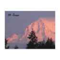 Evening Splendor postcards