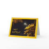 Evening Star In Lahaina, Hawaii, Birthday Cards