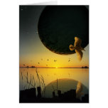 Evening Still cards