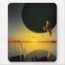 Evening Still Mousepads