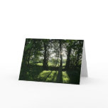Evening Sun Llangollen Canal Notecard Evening Sun Llangollen Canal Notecard