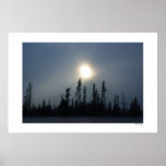 Evening Sun Poster