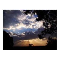 EVENING SUNRAYS Poster posters
