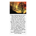 Evening Sunset Tree 1 photo cards