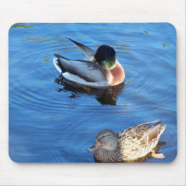 Evening Swim mousepads