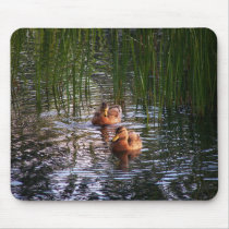 Evening Swim mousepads by dduhaime55 Evening Swim mousepads