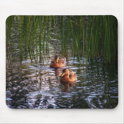 Evening Swim Mouse Mat by dduhaime55