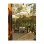 Evening Tea By The Bamboo Grove Post Card
