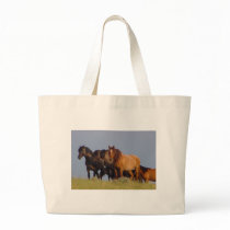 EveningPraire bags by brookhouse EveningPraire bags