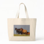 EveningPraire bags