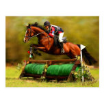 Eventer - Horse Art Post Card