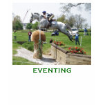 EVENTING Do you have what it takes? T-shirt