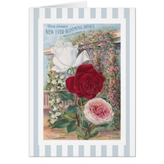 Ever-Blooming Roses Vintage Art Card