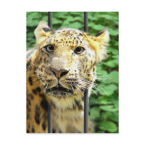 Ever have one of those days? postcards