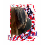 Ever Vigilant T-shirt