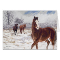 Ever Watchful, by Kim McElroy cards