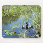 Everglades - bird mouse pads