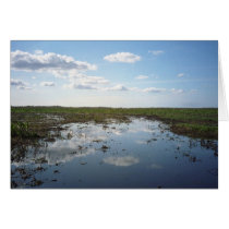 Everglades cards by epollaert Everglades cards