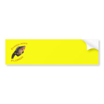 Everglades Florida Bumper Sticker