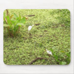 Everglades Mouse Pad