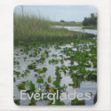 Everglades mousepad