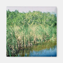 Everglades National Park, Florida Refrigerator Magnet