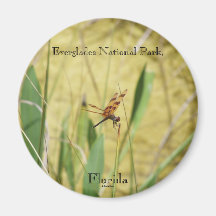 Everglades National Park, Florida Refrigerator Magnets