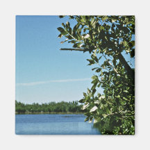 Everglades National Park, Florida Magnet