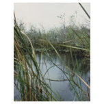 Everglades National Park flyers