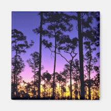 Everglades National Park, Pinelands Area, Florida Magnet