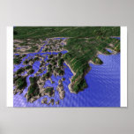 Everglades Poster