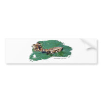 Everglades Python 01 Bumper Stickers