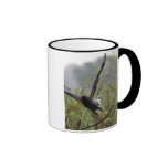 Everglades Snail Kite #1 mug