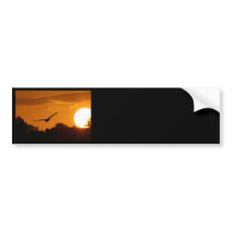 Everglades Sunset Bumper Stickers