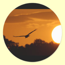 Everglades Sunset stickers