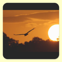 Everglades Sunset stickers