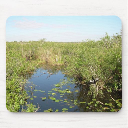 Everglades - swamp - marsh mousepads