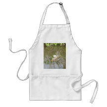 Everglades - tortoise apron