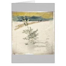 Evergreen Card