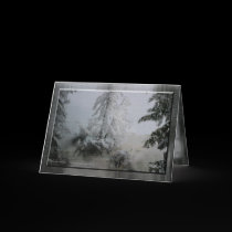 Evergreen Holiday cards by Rockangel1 Evergreen Holiday cards
